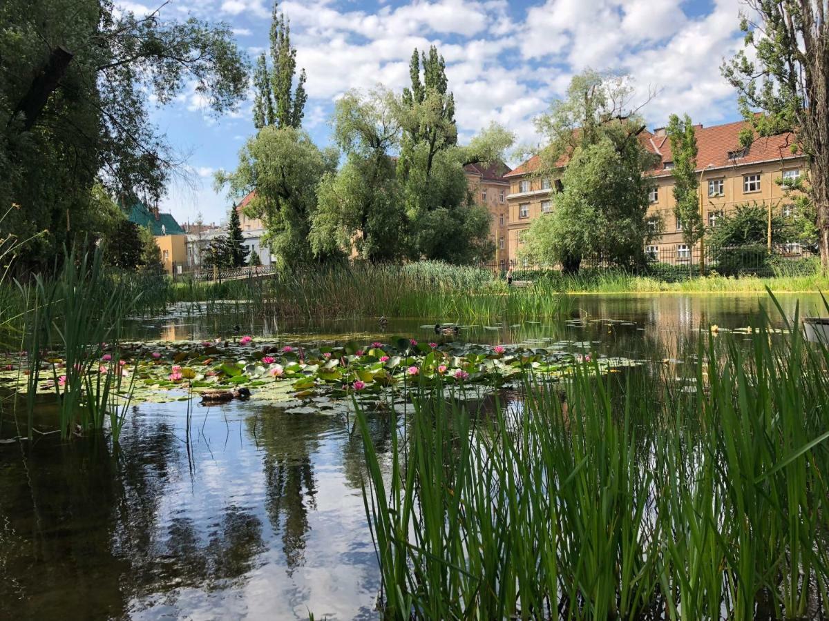 Old Town Apartment Podtatranskeho Кошице Экстерьер фото