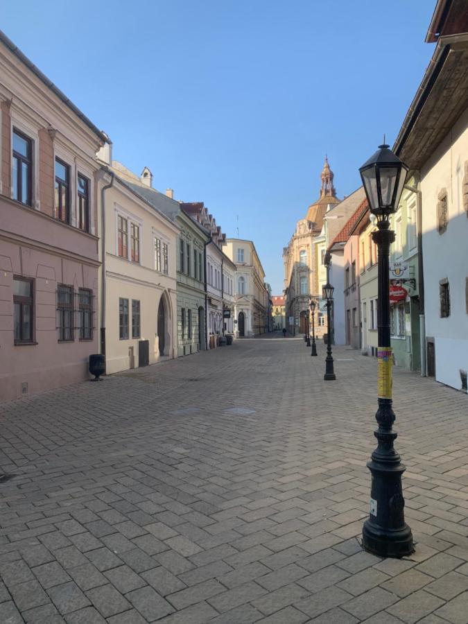 Old Town Apartment Podtatranskeho Кошице Экстерьер фото